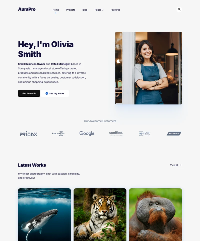 Aura Pro Jekyll Theme