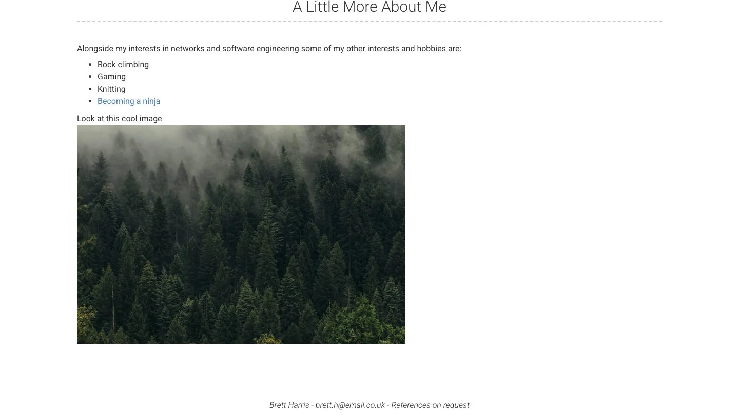 Modern Resume Theme Jekyll Theme screenshot 3